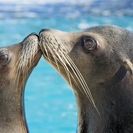 Marineland Antibes