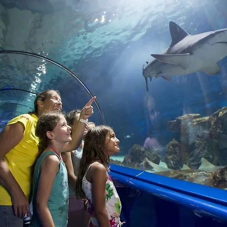 Marineland Hotel Antibes
