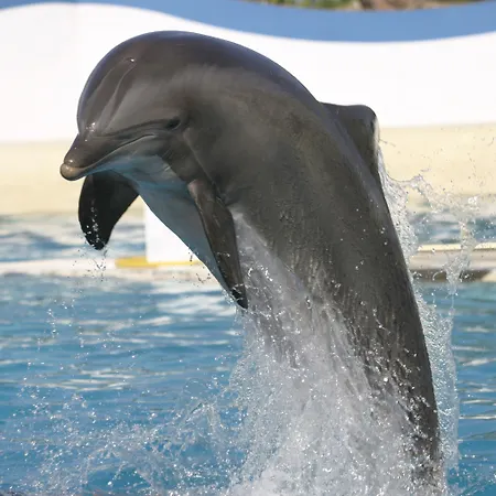Marineland Hotel Antibes