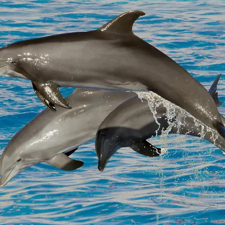 Hotel Marineland 3*